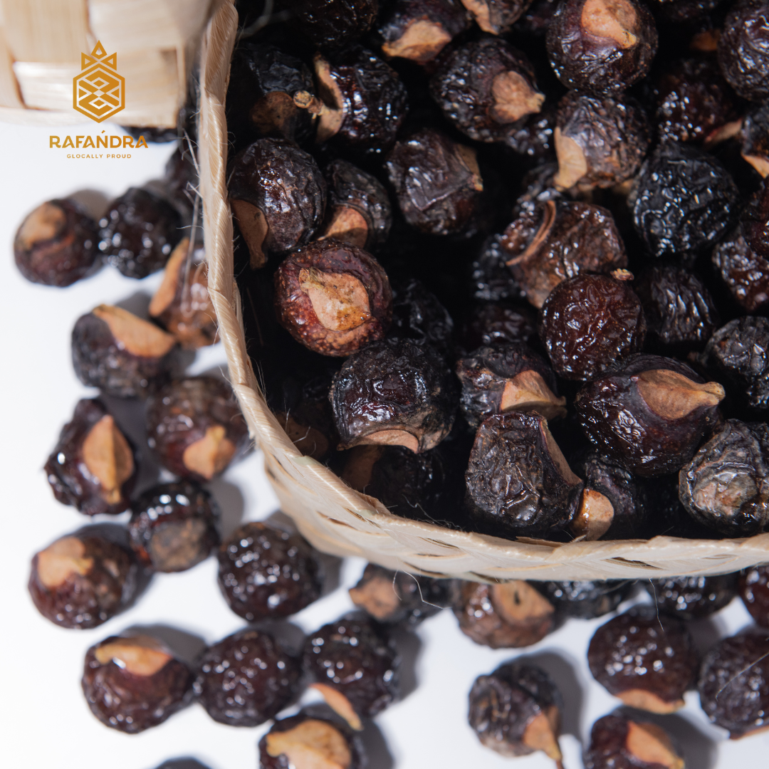Lerak / Soapnut